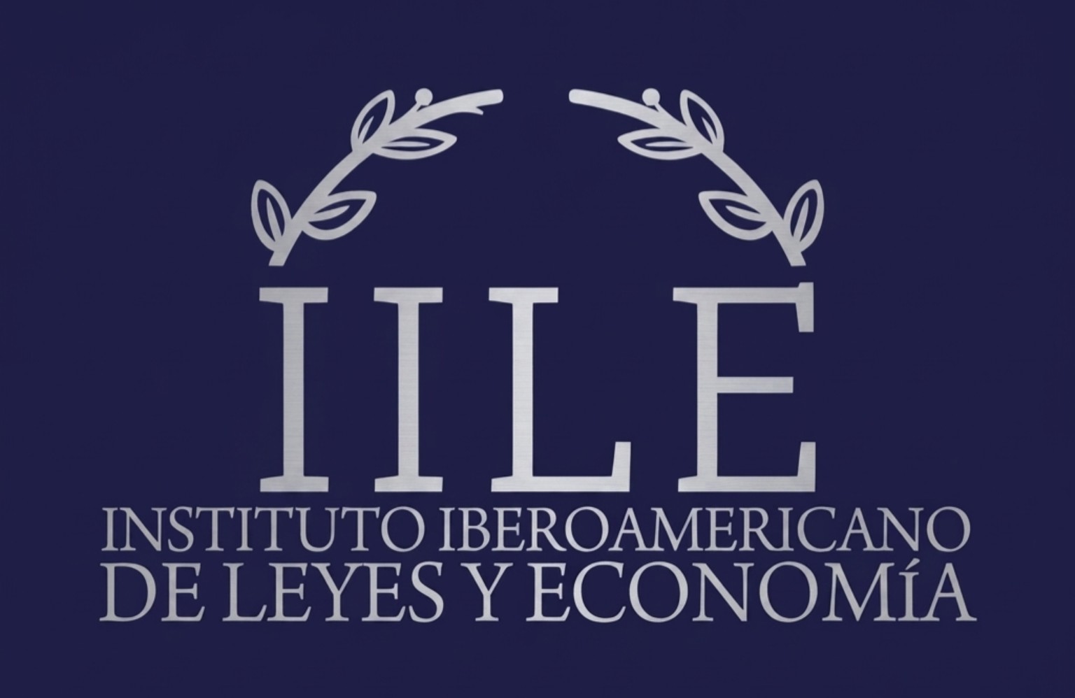 Instituto Iberoamericano de Leyes y Economía, IILE